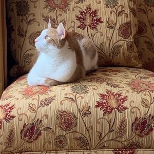 Meet your Posher, Kathryn